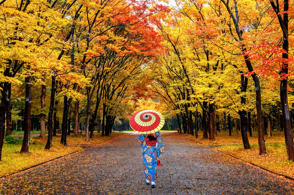 Woman,Wearing,Japanese,Traditional,Kimono,Walking,In,Autumn,Park.