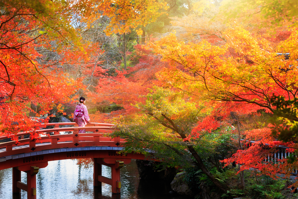 Wooden,Bridge,In,The,Autumn,Park,,Japan,Autumn,Season,,Kyoto