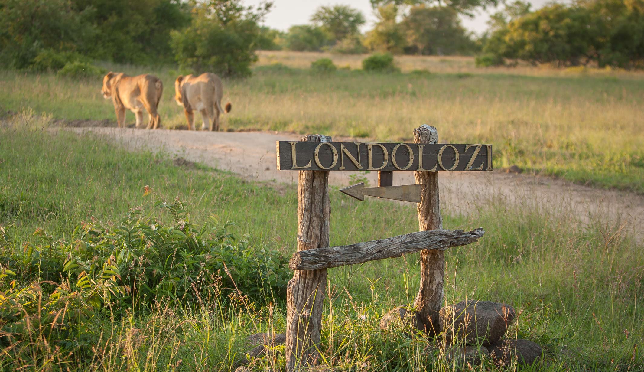 Luxury wine tours, The Fabulous Ladies Wine Society, travel for women, small group tours, Safari, South Africa
