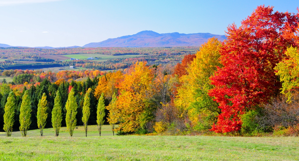 Scenic,Fall,Landscape,In,The,Province,Of,Quebec,,Canada